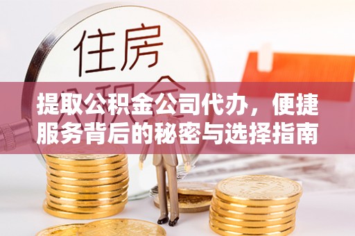 尖山提取公积金公司代办，便捷服务背后的秘密与选择指南