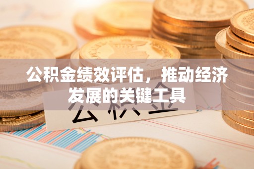 尖山公积金绩效评估，推动经济发展的关键工具