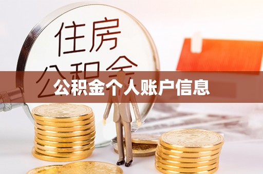尖山公积金个人账户信息