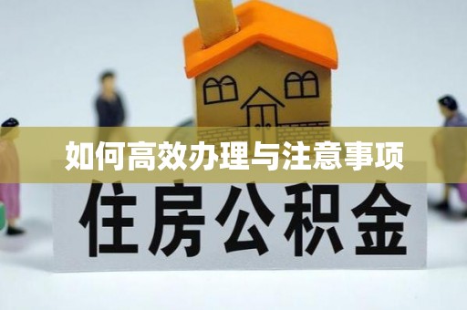 尖山如何高效办理与注意事项