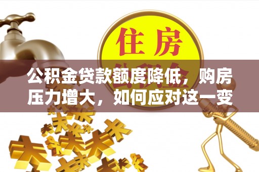 尖山公积金贷款额度降低，购房压力增大，如何应对这一变化？