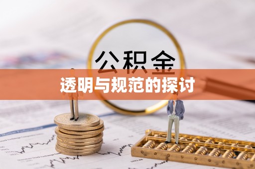 尖山透明与规范的探讨