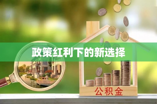 尖山政策红利下的新选择