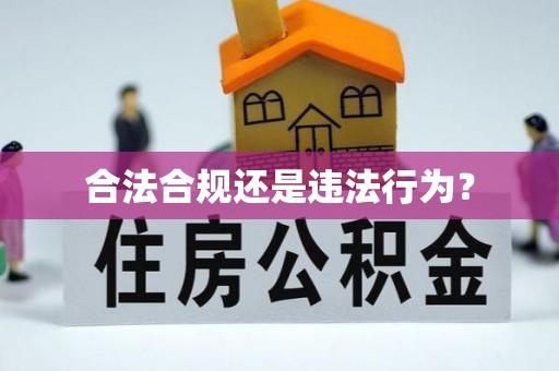 尖山合法合规还是违法行为？