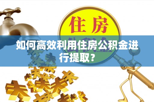 尖山如何高效利用住房公积金进行提取？