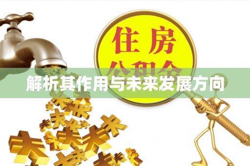 尖山解析其作用与未来发展方向