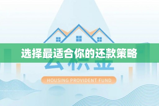 尖山选择最适合你的还款策略